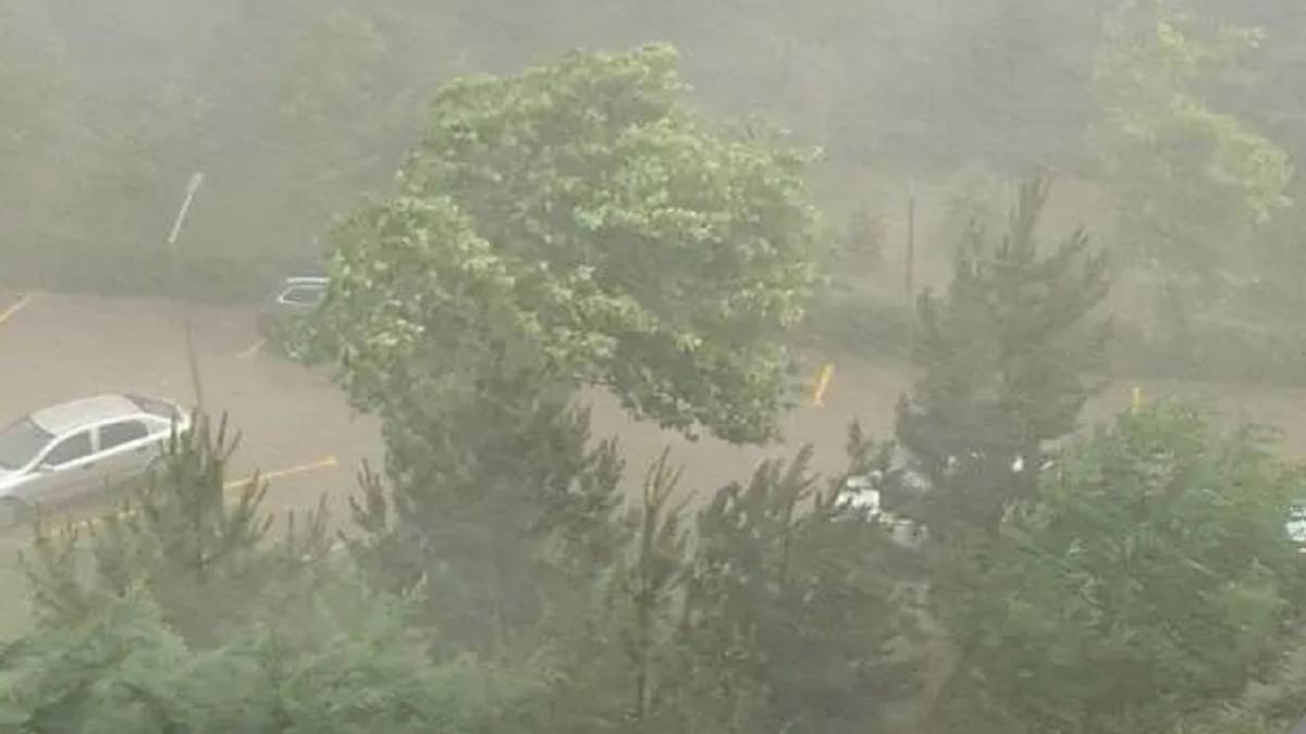 Barajlara gelen SU miktarında REKOR artış 'Doldular'