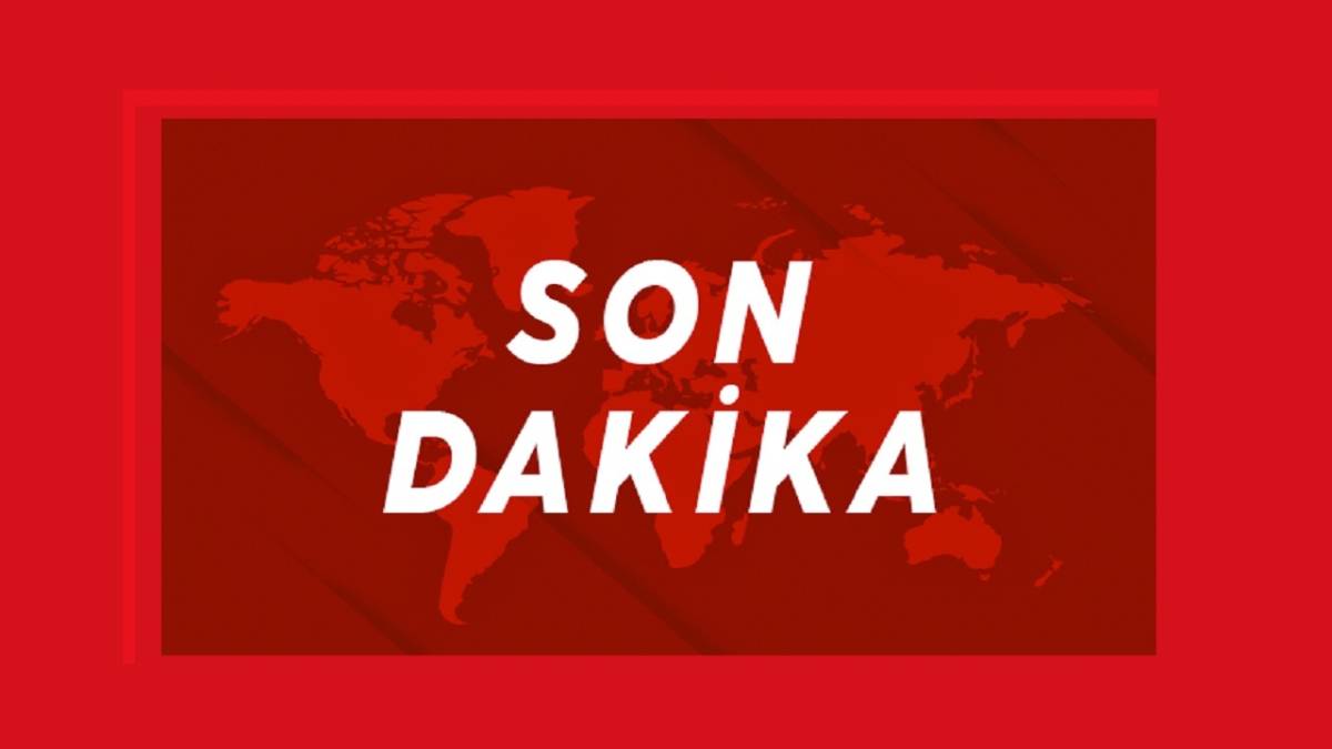 Hantavirüs nedir?  Hantavirüs Türkiye'de görüldü mü?