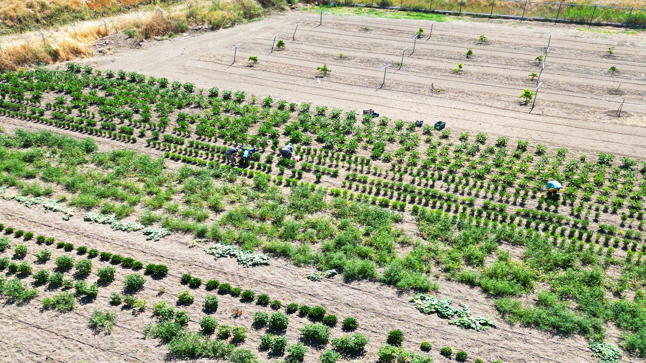 Cengiz Holding şirketi Eti Alüminyum
