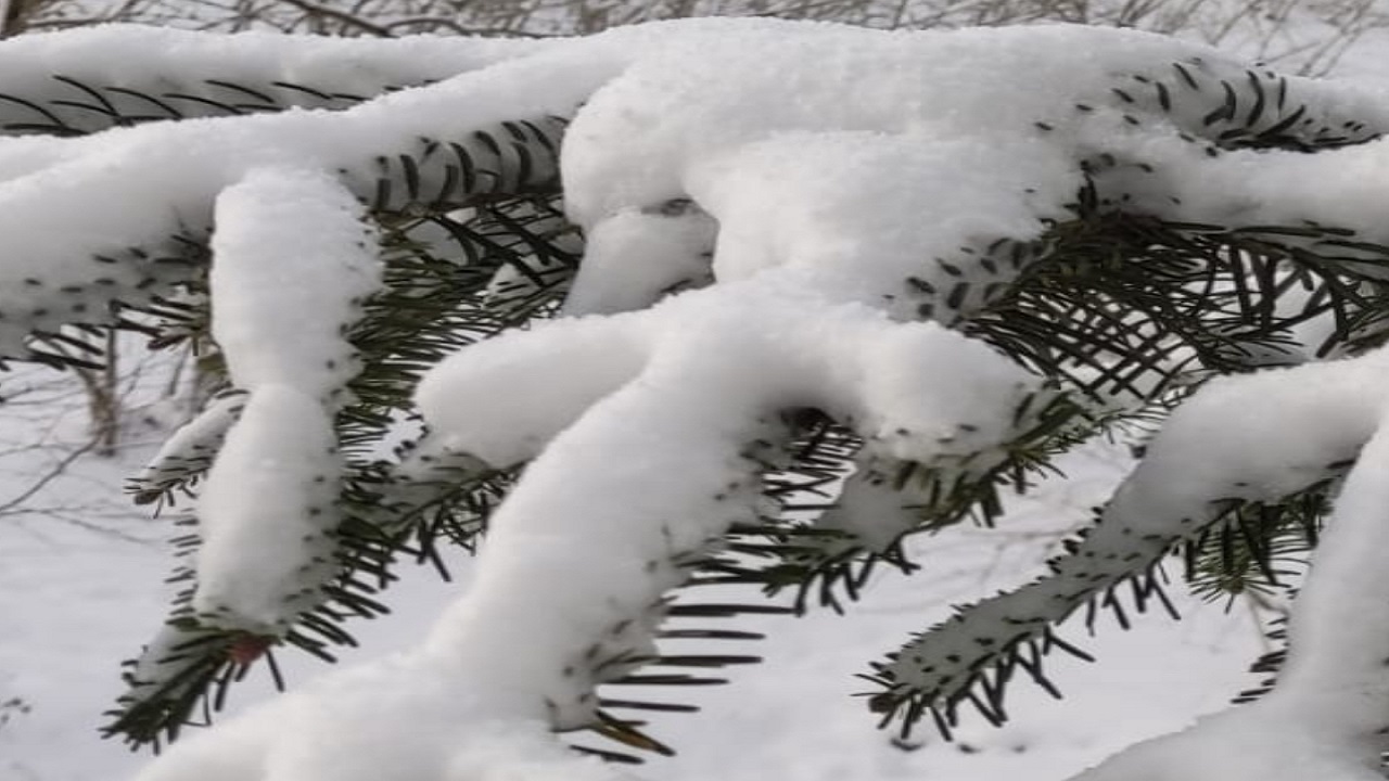 Ölçülen en düşük sıcaklık 'Ölçülen en yüksek sıcaklık'