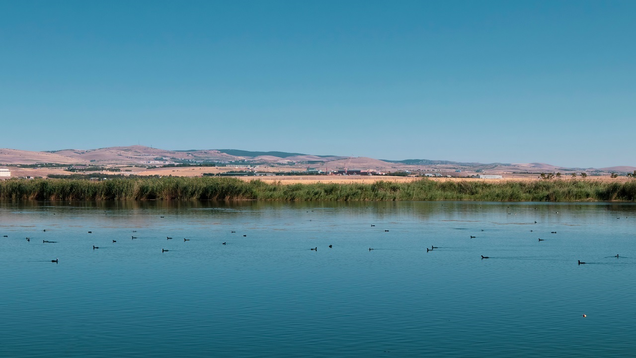 2025'in önemli ÇEVRE olayları 'TEMA Vakfı hazırladı'