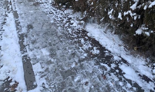 🎙️ Sesli Komutlar