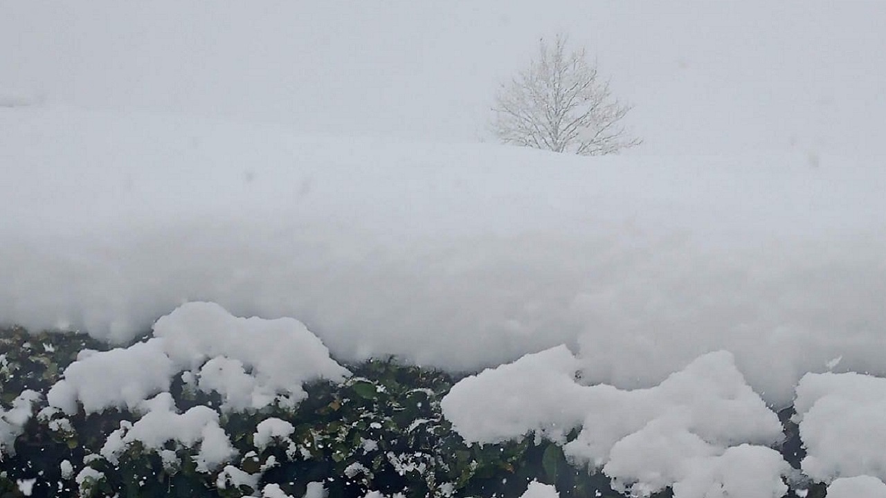 Meteoroloji verilerine göre en soğuk Van '- 32,8 derece'