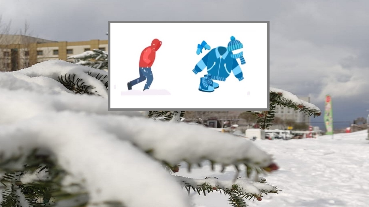 🎙️ Sesli Komutlar