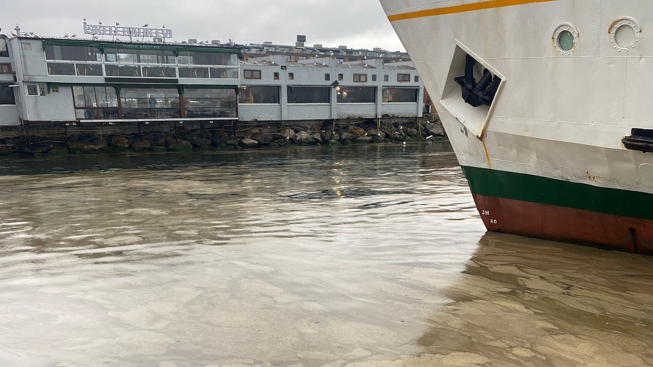 2025'in önemli ÇEVRE olayları 'TEMA Vakfı hazırladı'