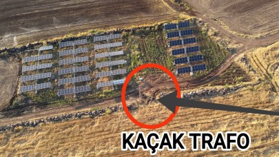 Dicle Elektrik yayınladı ''Kaçak elektrik trafo tarlası''