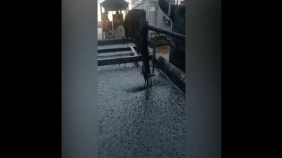 Enerji TV 'AĞIR Petrol gördünüz mü?'